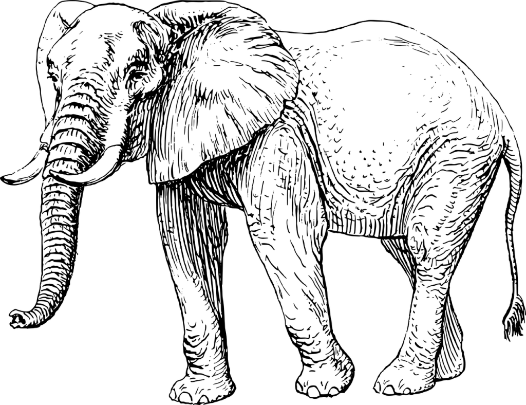 a line drawing of an elephant