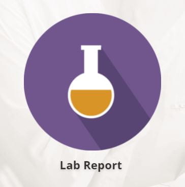 Lab Report symbol