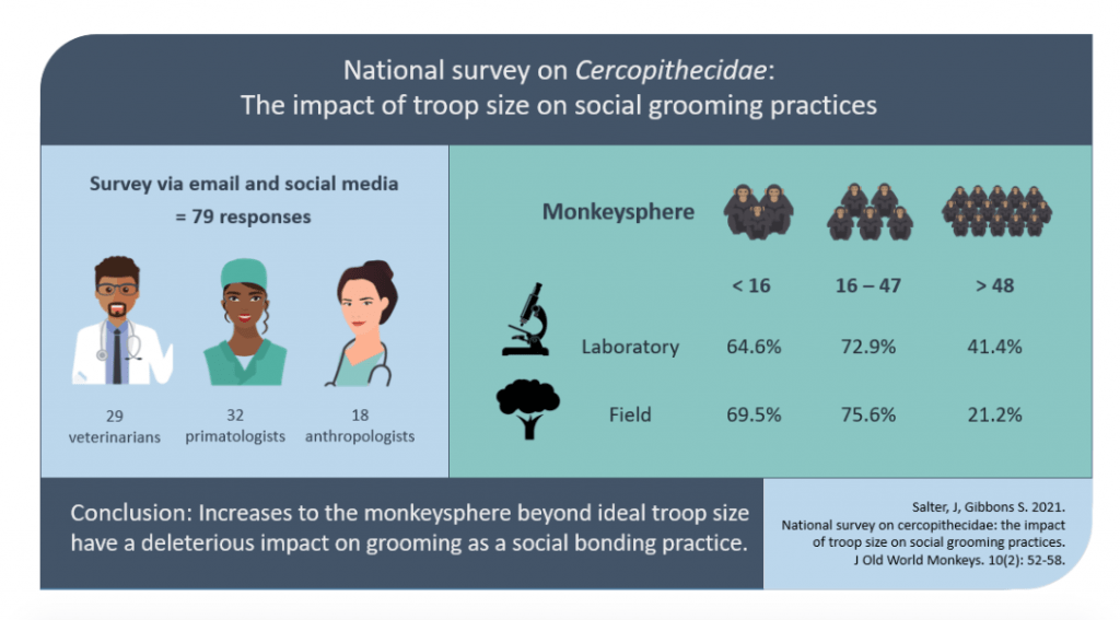 Image of a visual abstract with the title "National Survey on Cercopithecidae: The impact of troop size on social grooming practices. Below the title are two vertical boxes. The left side reads "Survey via email and social media = 79 responses." Underneath is an image of a male veterinarian, a female primatologist, and a female anthropologist with the words 29 veterinarians, 32 primatologists, and 18 anthropologists. On the right, it reads, "Monkeysphere." There three groups of monkeys; small, less than sixteen; medium, between sixteen and forty seven; large, greater than forty eight. Results are shown for laboratory setting and field setting. The small group of monkeys is 64.6% for laboratory; the medium group of monkeys is 72.9% for laboratory; the large group of monkeys is 41.4% for laboratory. The small group of monkeys is 69.5% for field; the medium group of monkeys is 75.6% for field; the large group of monkeys is 21.2% for field. Below the Conclusion at the bottom of the visual abstract reads "Increases to the monkeysphere beyond ideal troop size have a deleterious impact on grooming as a social bonding practice." This image is cited as Salter, J., & Gibbons, S. 2021. National survey on cercopithecidae: the impact of troop size on social grooming practices. J Old World Monkeys. 10(2): 52 - 58. 